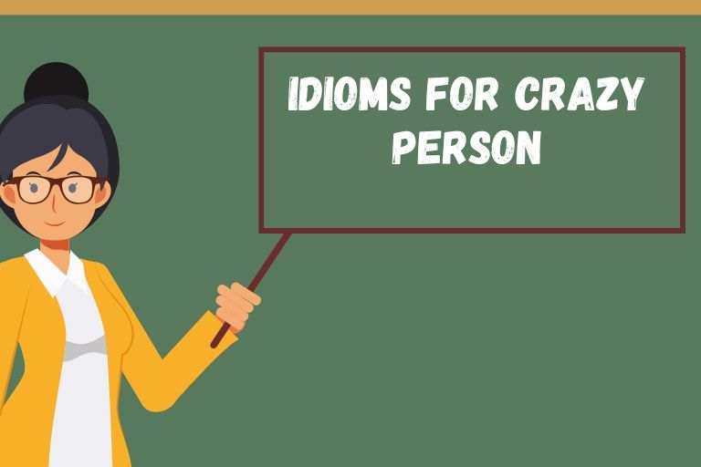 Idioms for Crazy Person