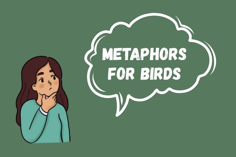Metaphors for Birds
