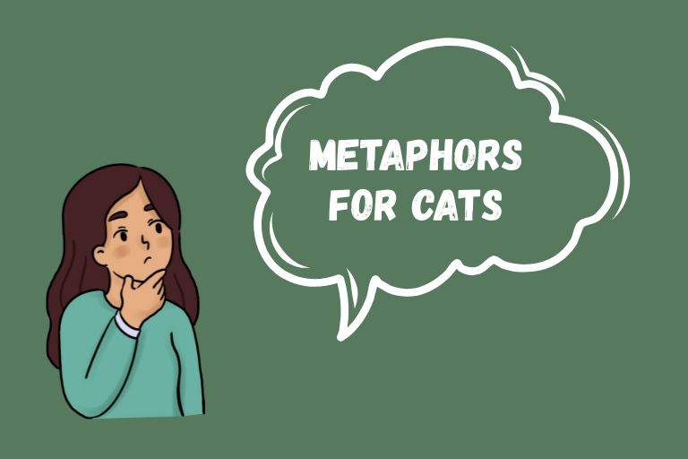 Metaphors for Cats