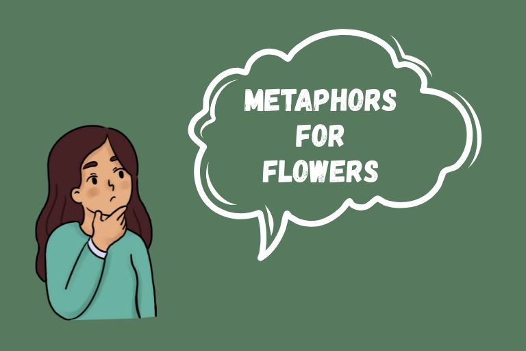 Metaphors for Flowers
