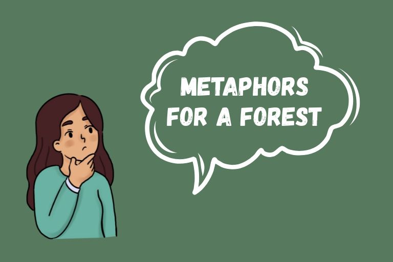 Metaphors for a Forest