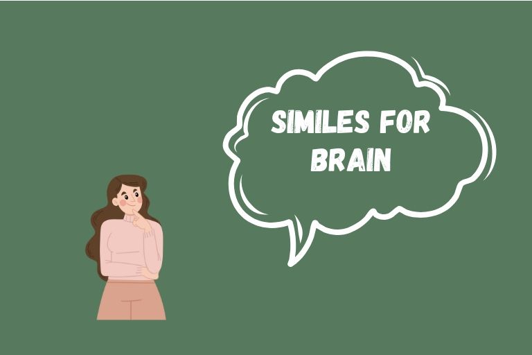 Similes for Brain