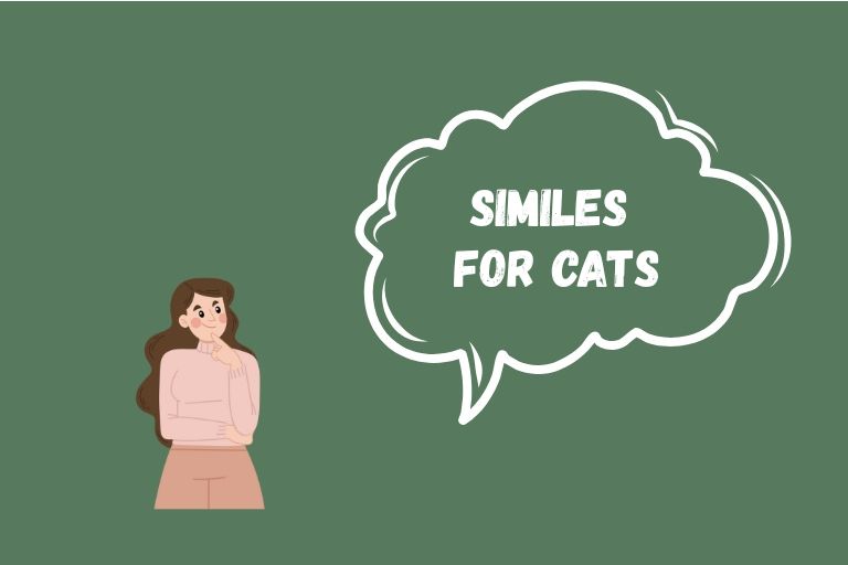Similes for Cats