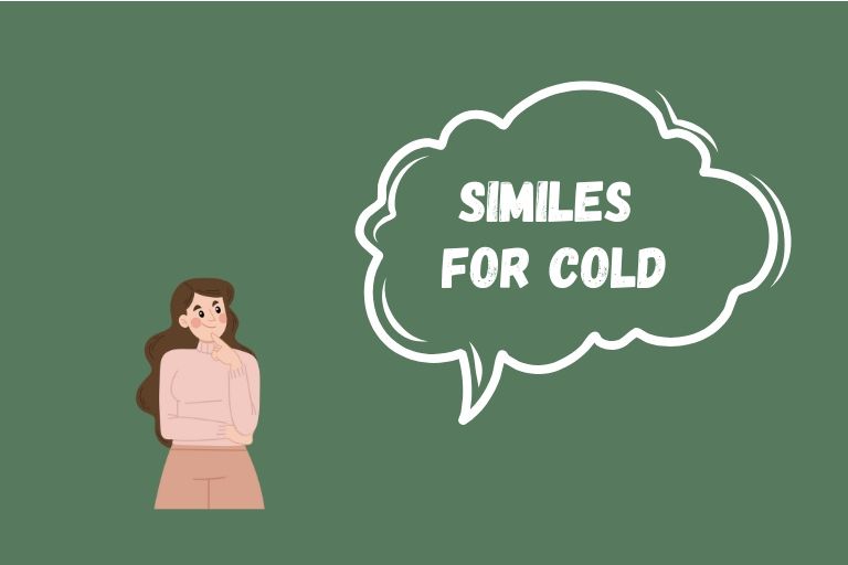 Similes for Cold