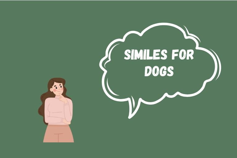 Similes for Dogs